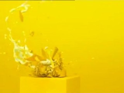 Cortinillas de Nitro / Taza