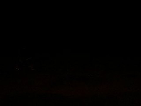 Sherco hrd pro race 50