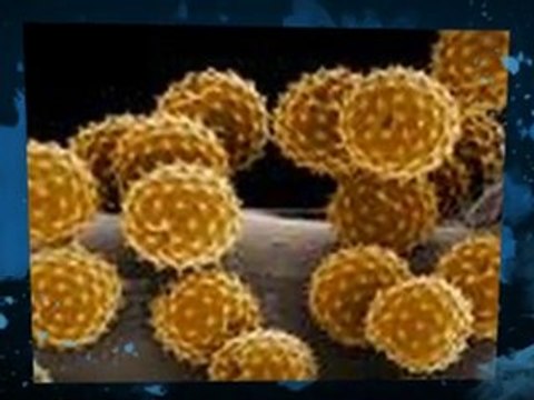 Mold Spores Danbury CT 203