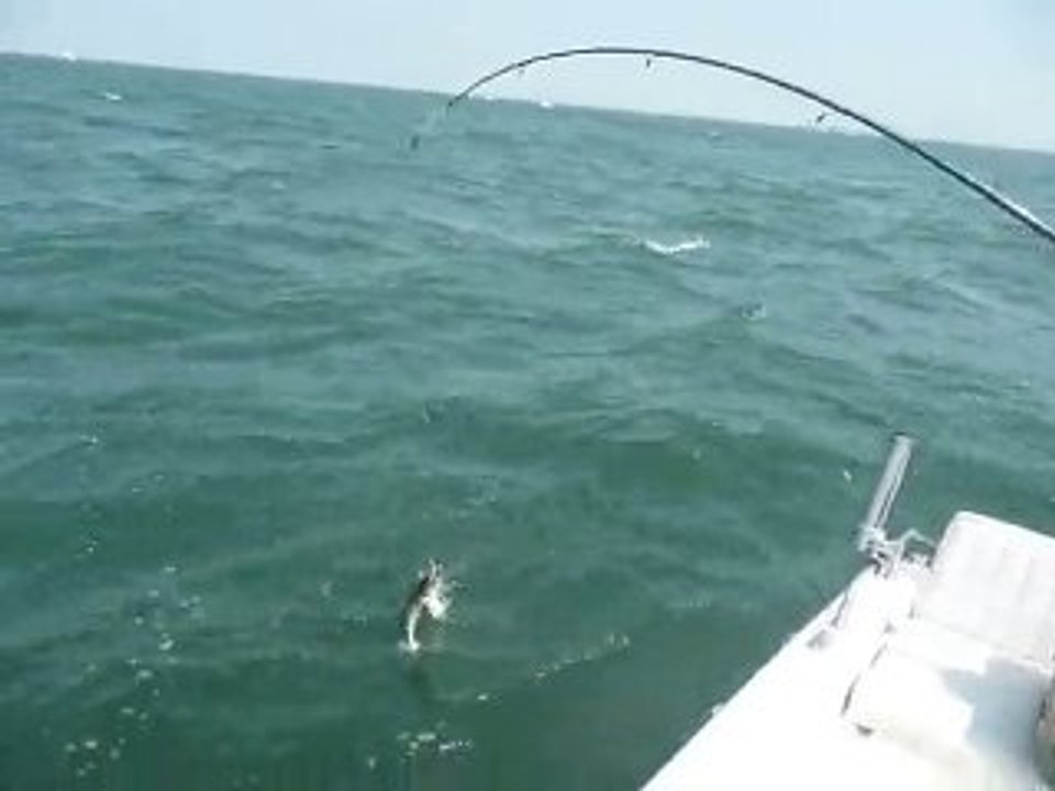 peche au gros