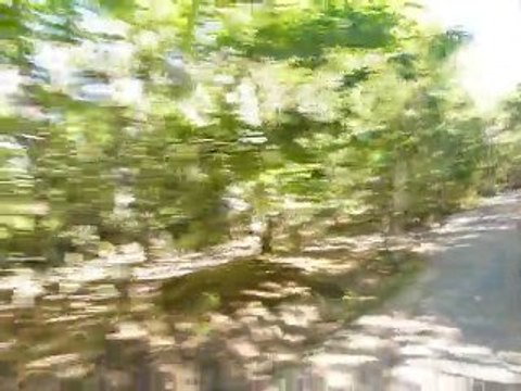 Juillet 2010 - Center Parc - Tous en vélo