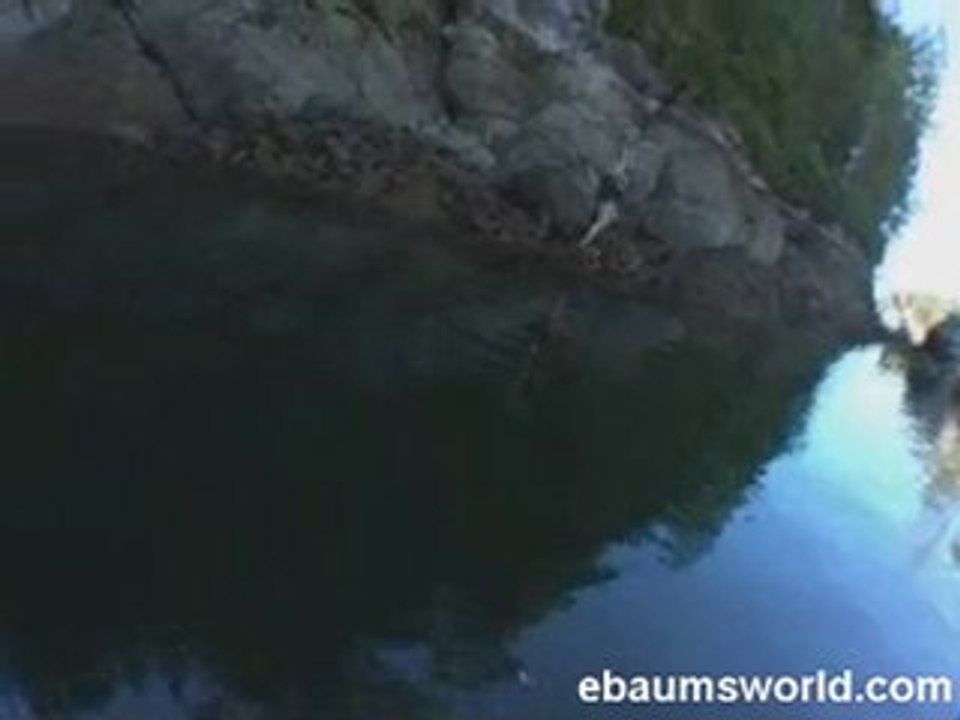 régis joue a tarzan