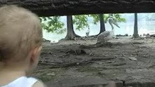 zooshanghai