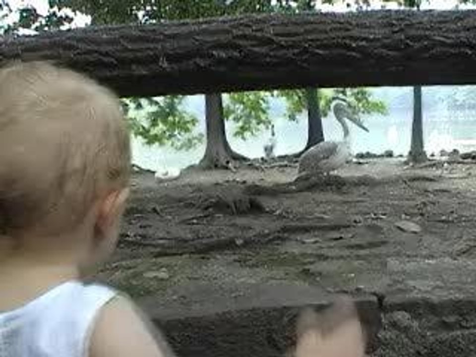 zooshanghai
