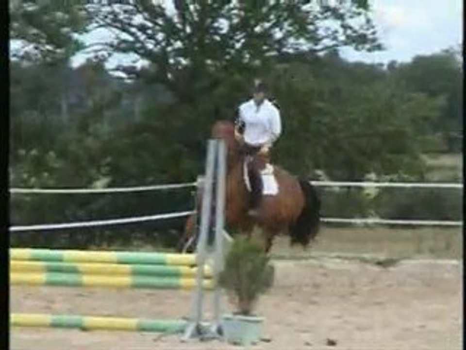 QUELINA SO CAMILLE