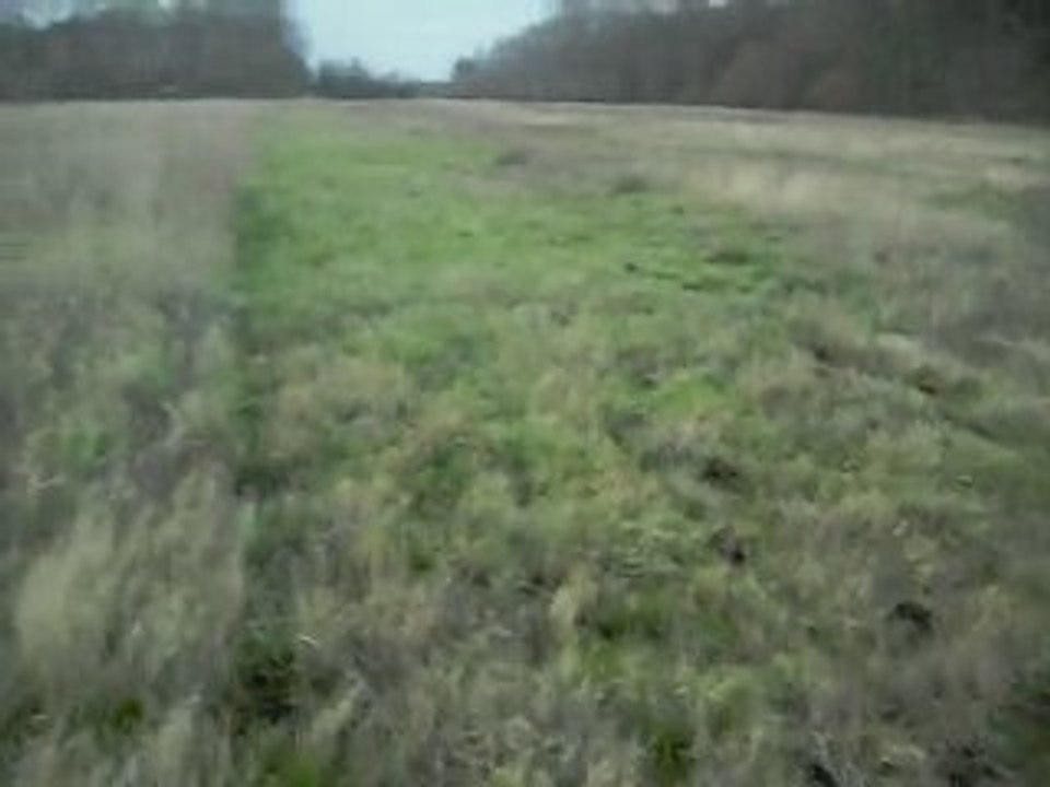 Un Lulu qui aime ça =) ♥