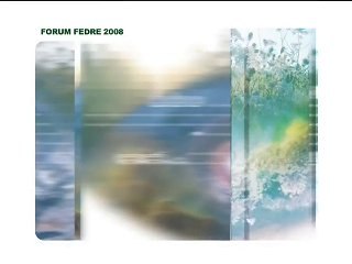 Forum FEDRE 2008 : Interviews 23.01.08