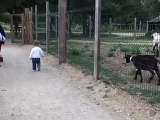 Petite Louise à la ferme