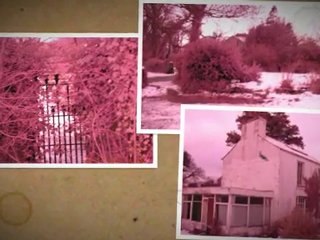 PIPS Paranormal investigators