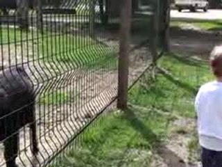 Petite Louise à la ferme 2