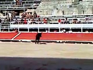 PERNEN Arles le 28 juillet