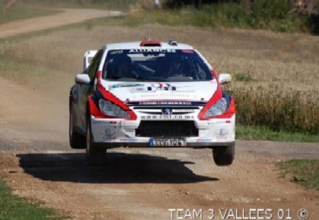 Rallye Terre de Langres 2010