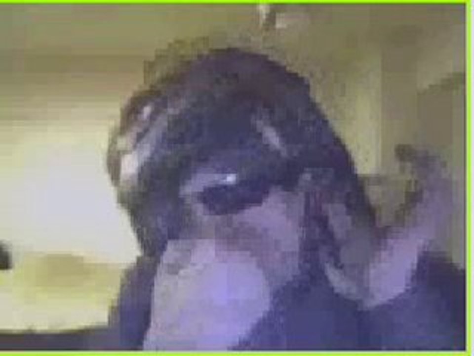 bogos klab kalab lpaltalk