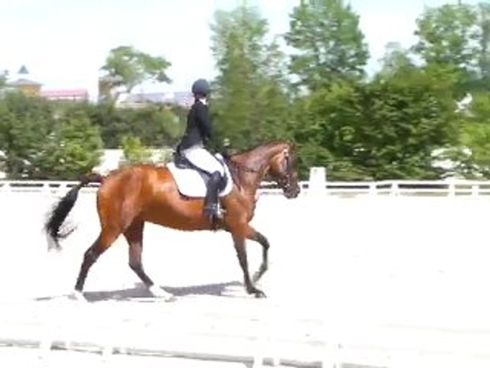 Quelem - Championnat 2010 - Imposée