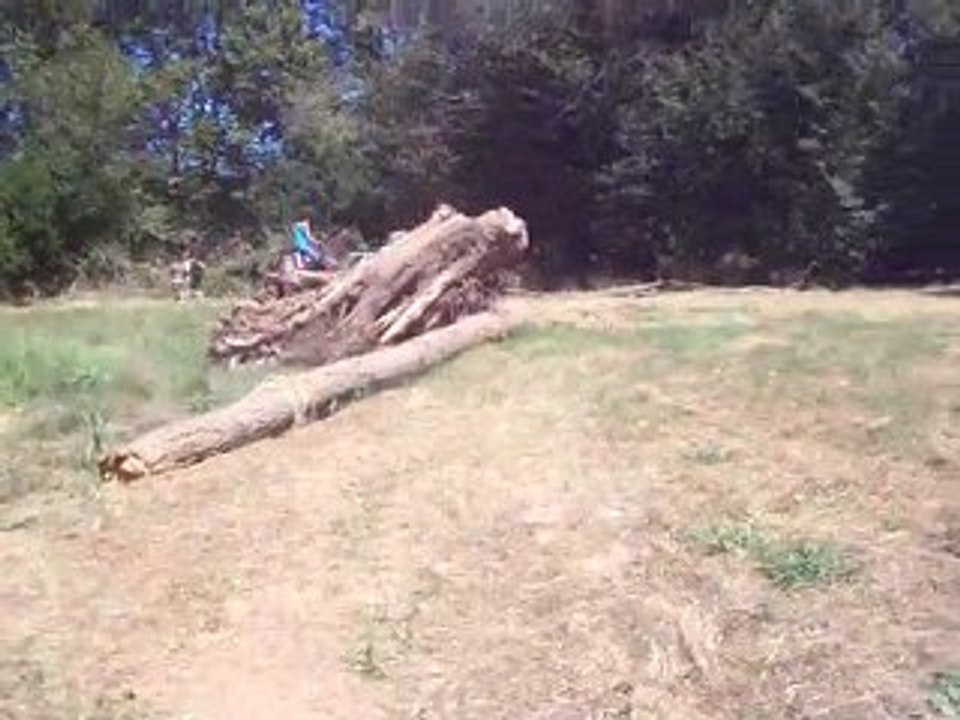 saut du tronc avec les dada