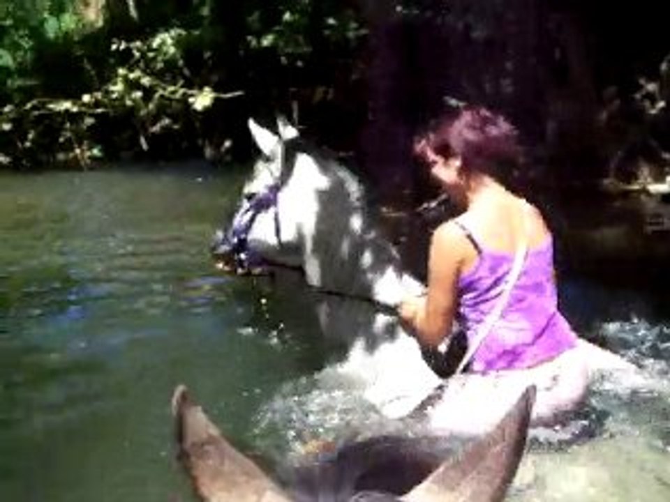 vico qui part dans l'eau avec saxo et nem