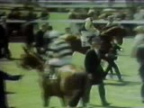 Epsom Derby 1970 - Nijinsky