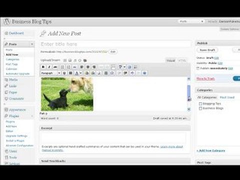 How to Use Photo Dropper to Add Flickr Photos to Your Blog
