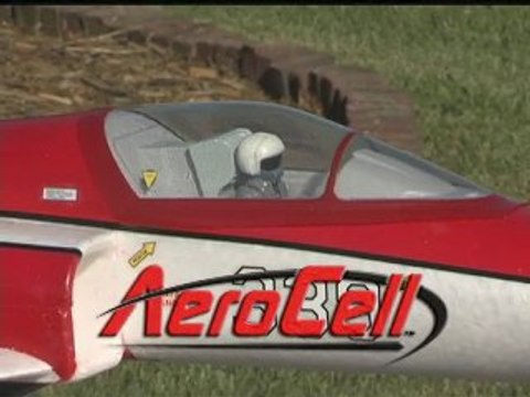 ElectriFly™ F-20 Tigershark Sport-Scale EDF