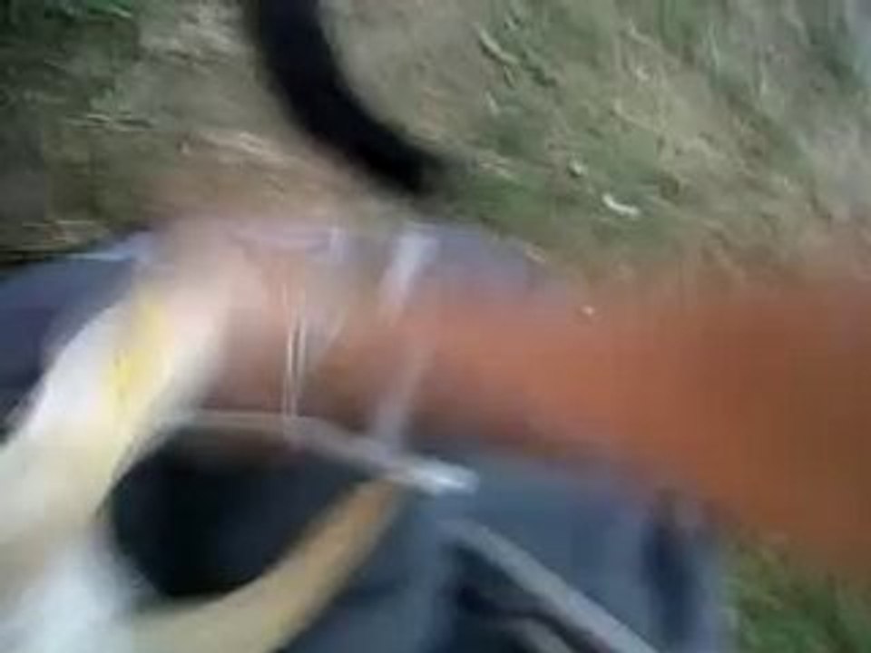 VID 00042-20100728-2131.3GP