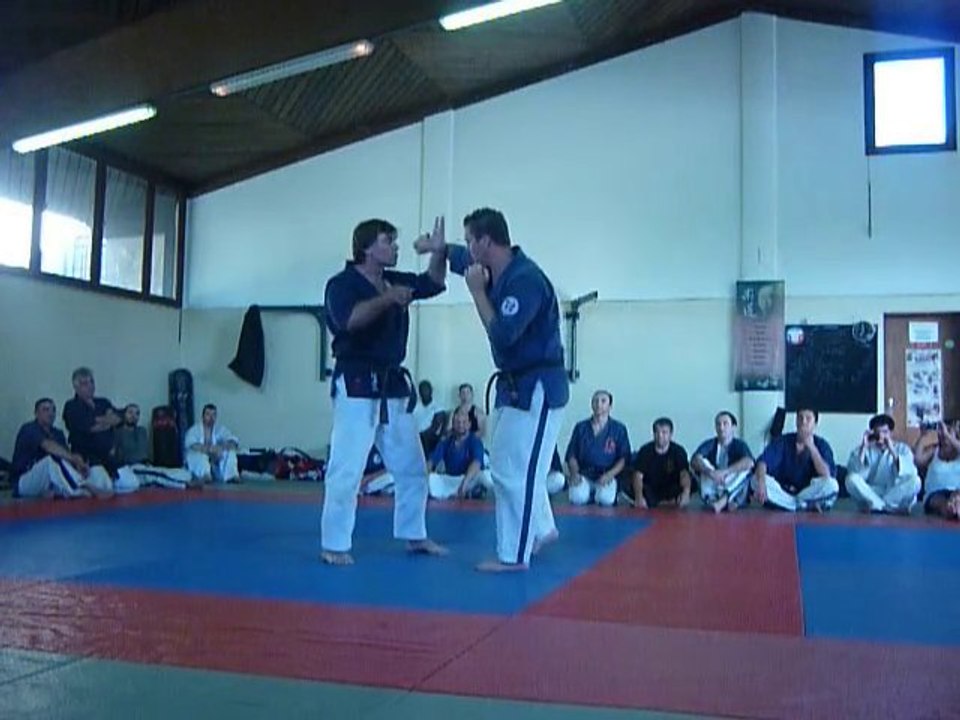 fin de stage d'été du toreikan budo (1)