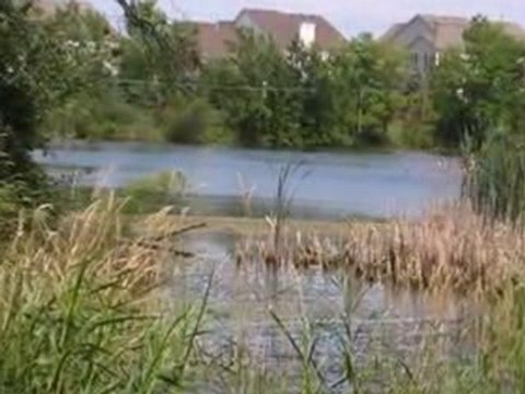 Homes for Sale - 30W711 Irving Park Rd - Elgin, IL 60120 - C