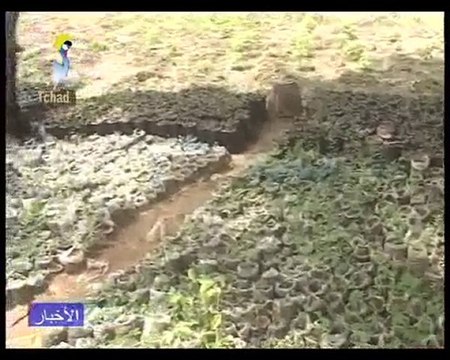 DERNIER JT ARABE DU 07/08/2010 PAR TCHADONLINE.TV