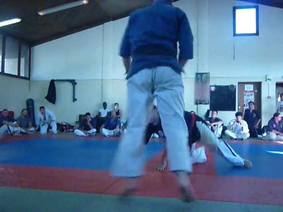 fin de stage d'été du Toreikan-budo (2) suite