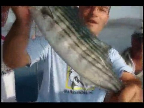 Torik Avı 23 Ağustos 2008 baliksevdam.com