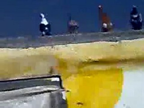 suriye karışma kuşları guvercinrehberi.com