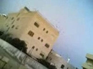 filo kuşları uçurma www.guvercin.ile.biz