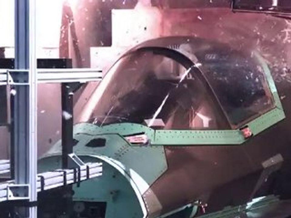 F-35 Birdstrike Test