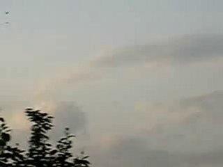 kafkar kuş döküşü  2 www.guvercinrehberi.com