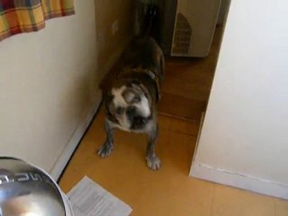 Ma louloute qui m'engueule !!!