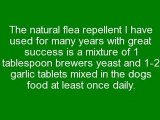 Natural Pet Remedies http://medsdiscount.biz