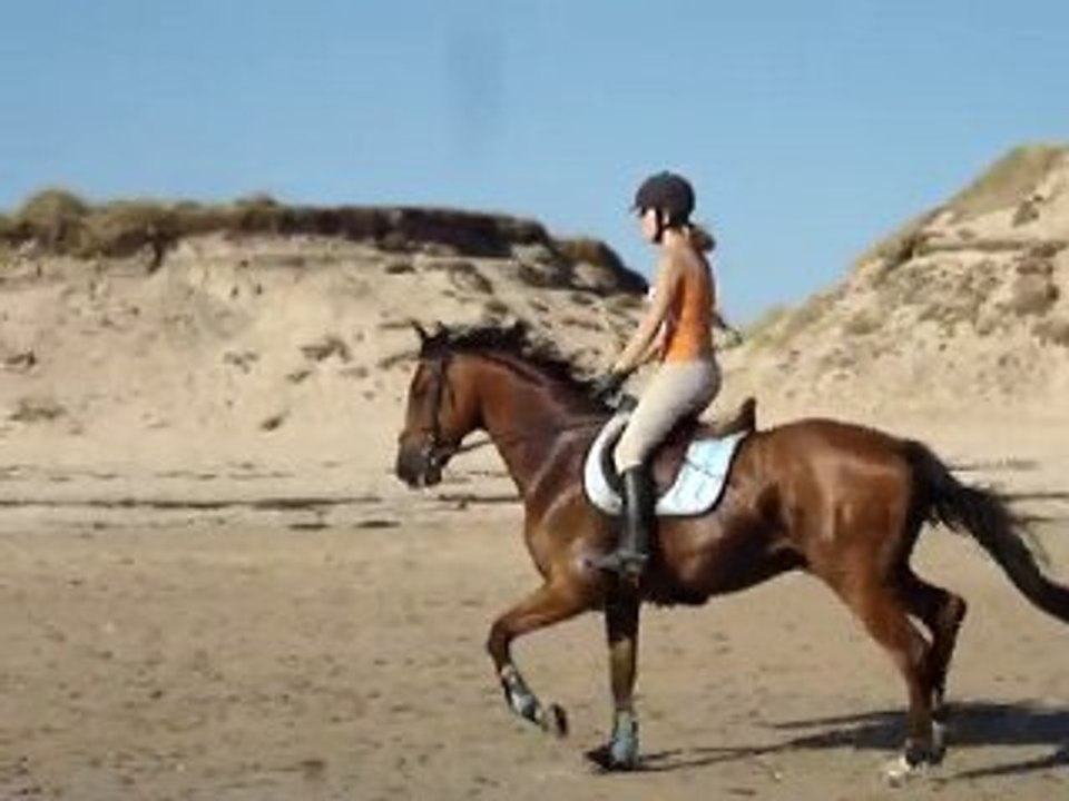 Poltrot