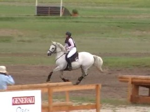 phebus briovere cross lamotte 2010