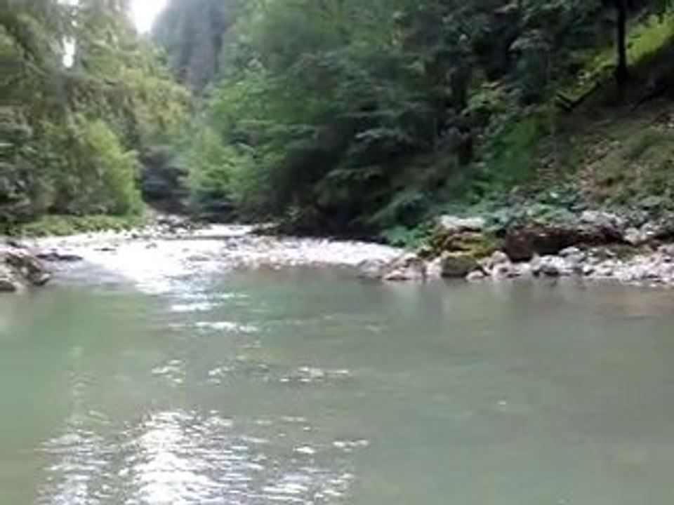 video-2010-07-30-12-52-00