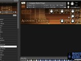 Vir2 Acoustic Legends acoustic guitar library