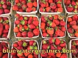 Chef George at the Birmingham Farmers Market with his cookb