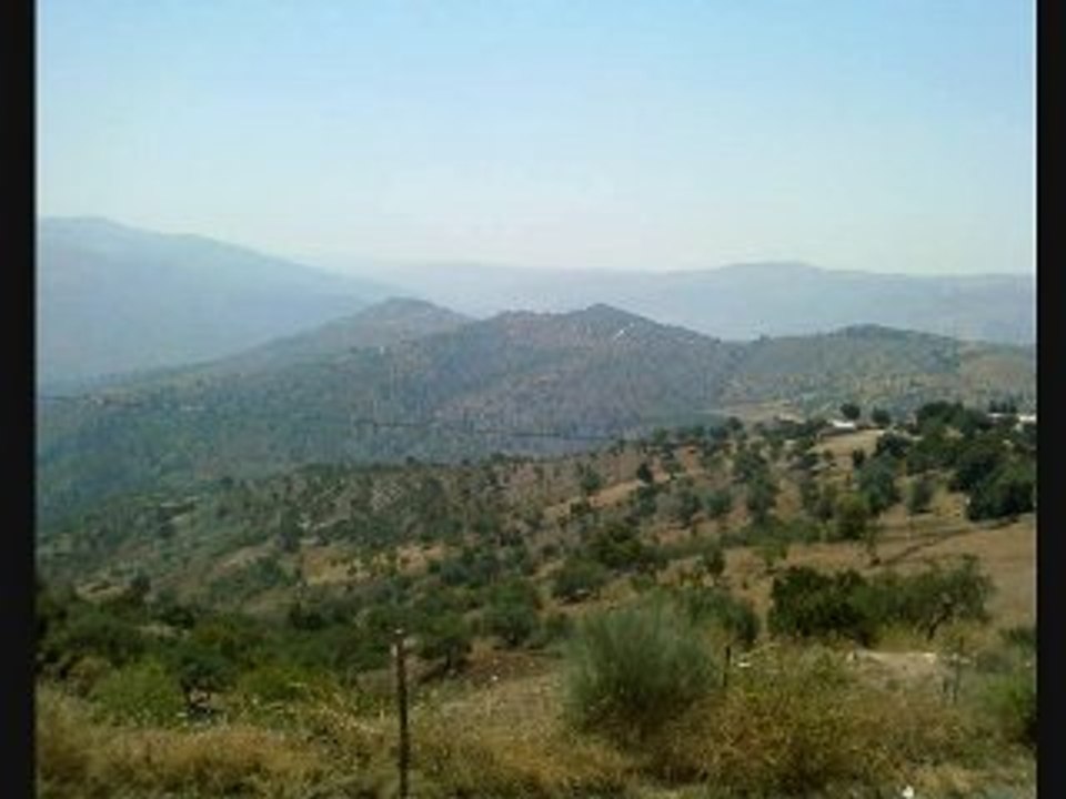 DJAMEL SGHIR STAIFI ETE 2010