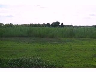 Homes for Sale - 0 W Central Ave - Wheatfield, IN 46392 - Co