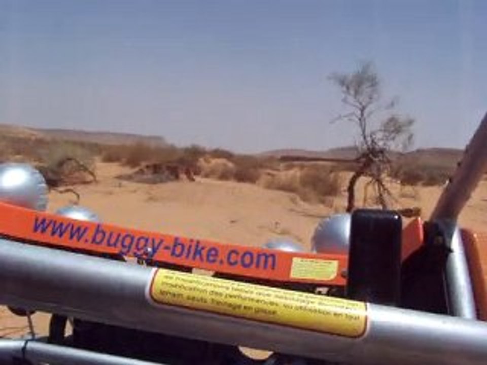 buggy