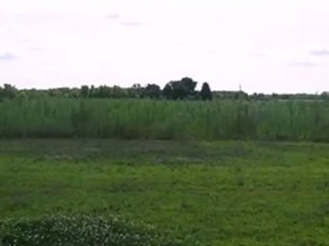 Homes for Sale - 0 Grove St - Wheatfield, IN 46392 - Coldwel