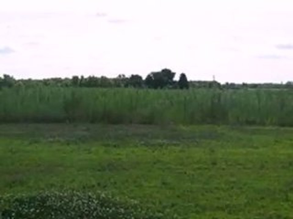 Homes for Sale - 0 Meadow Ln - Wheatfield, IN 46392 - Coldwe