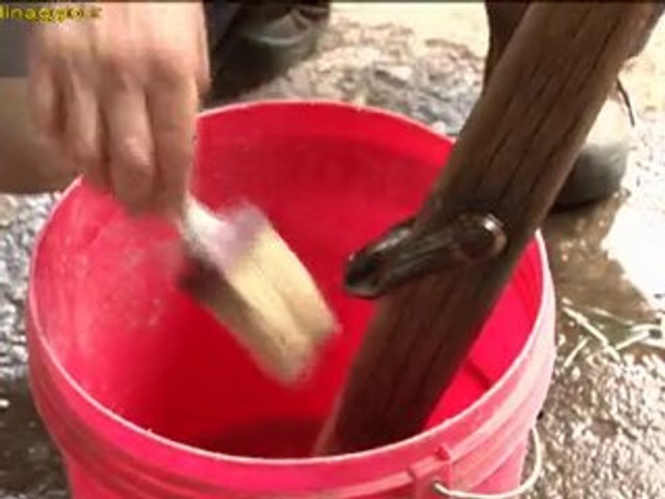 trattamento consolidante del legno