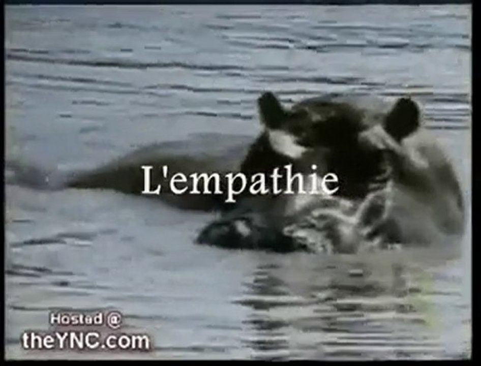 L'Empathie
