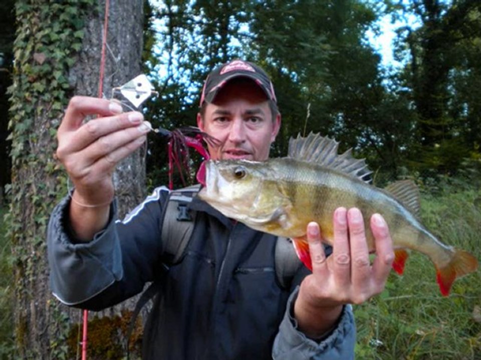 Pêche au brochet en côte d'or...jerk,crankbait,buzzbait...