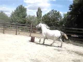 Sauts en liberté le 29/07/10