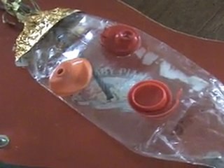 Life in a day par Nicole Sénécal, St-Louis-de-Richelieu, Qc